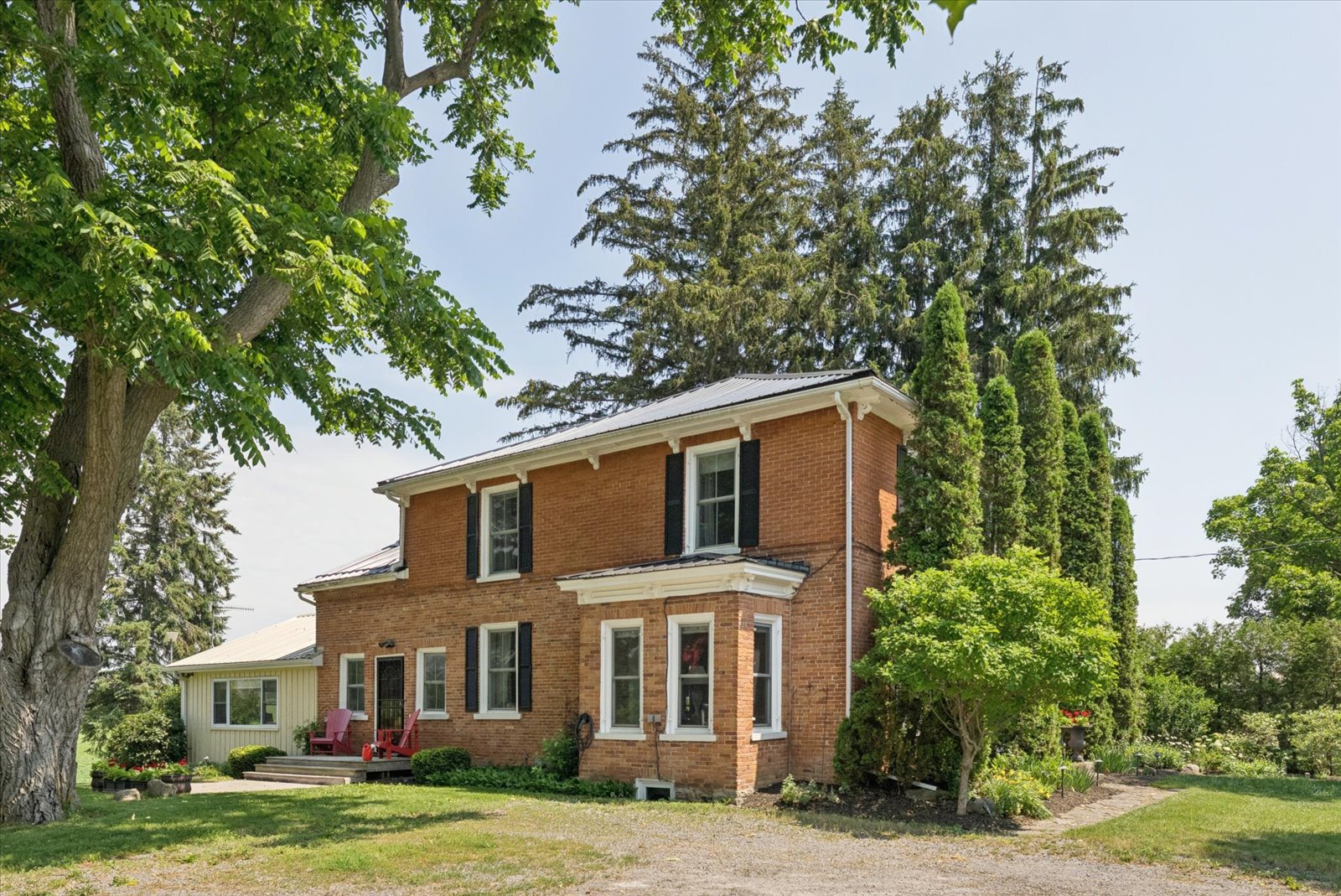 Side elevation with cedars and perennial beds